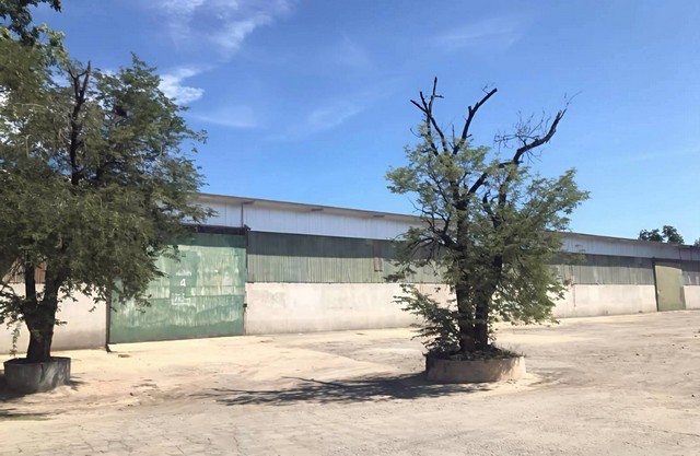 ให้เช่าโกดังเมืองชลบุรีหลังละ 2,000 ตารางเมตร