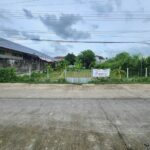ขายด่วน : ที่ดินแปลงสวย ติดถนน ทำเลดี