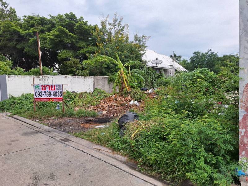 ขายถูก ที่ดิน 90 ตร.วา ถนนเพชรเกษม 81 ซ.เกรียงประเสริฐ