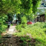 ขายที่ดินถนนสุขุมวิท ย่านปรีดีพนมยงค์ 748 ตร.ว. คลองตันเหนือ วัฒน