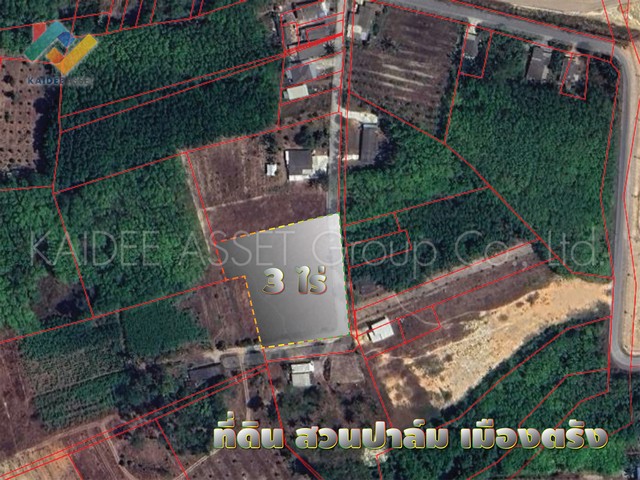 ที่ดิน โคกหล่อ เมืองตรัง ตรัง สวนปาล์ม ใกล้สนามบิน ราคาถูก