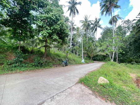 ที่ดินสวยติดน้ำตก ลิปะน้อย เกาะสมุย ใกล้ตลาดสีฟ้า เหมาะลงทุนรีสอร