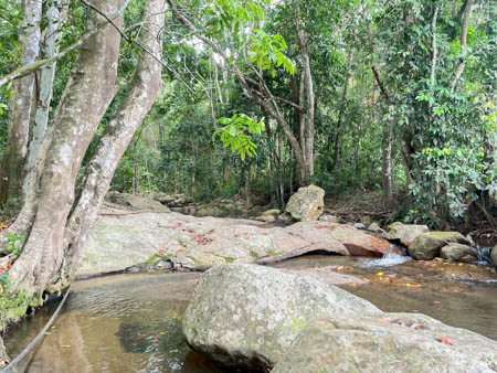 Land Big Plot For Sale in Koh samui
