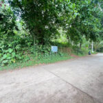ขายที่ดินแปลงใหญ่ ใกล้ตลาดสีฟ้า ท่าเรือหน้าทอน ลิปะน้อย 3 ไร่