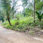 Last Large Land Plot in Lipa Noi Near Blue Market Nathon