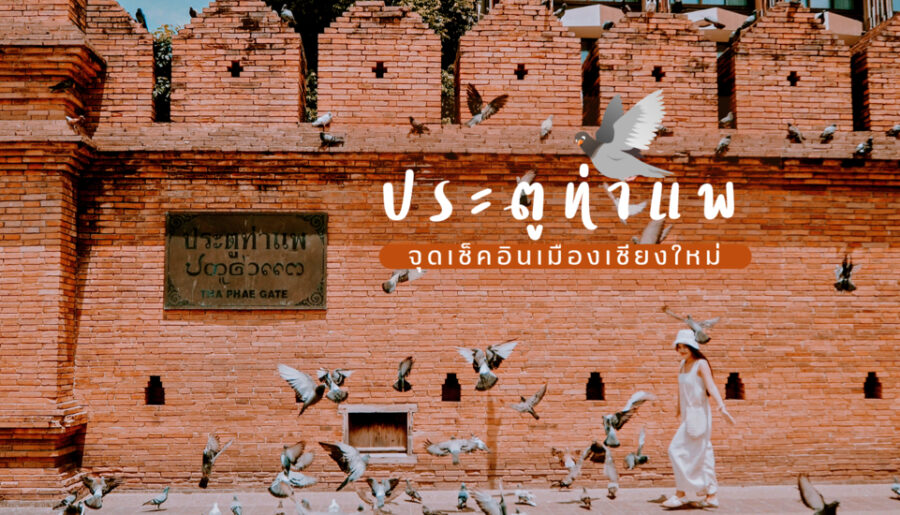 ที่ดินพร้อมสิ่งปลูกสร้าง บนถนนสายวัฒนธรรม ถ.ท่าแพ