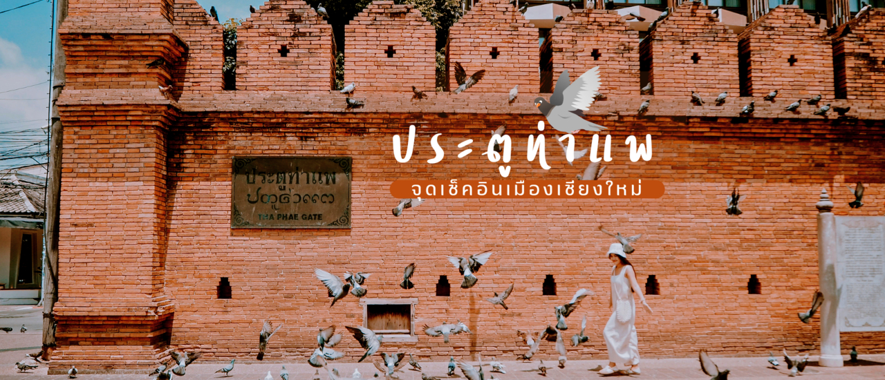 ที่ดินพร้อมสิ่งปลูกสร้าง บนถนนสายวัฒนธรรม ถ.ท่าแพ