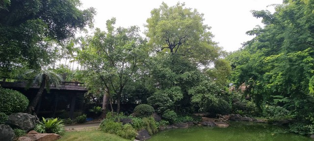ขายที่ดินพร้อมสวนสไตล์รีสอร์ท ออกแบบโดยนักจัดสวนอันดับต้นของประเท