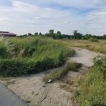 ขายที่ดินบ้านบึงชลบุรี 4-3-70 ไร่