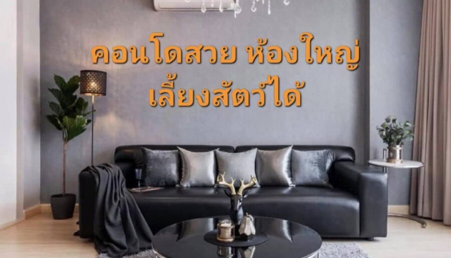 ขายถูก คอนโดเลี้ยงสัตว์ได้ ใจกลางลาดพร้าว 101