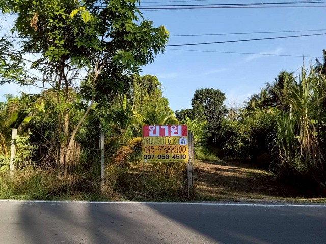 ขายที่ดิน 6 ไร่ พร้อมบ้าน ใกล้ตลาดน้ำอัมพวา สมุทรสงคราม
