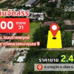 ขายที่ดินจัดสรร 200 ตร.ว. ถูกกว่าราคาตลาด 30% เหมาะปลูกบ้าน