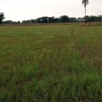 ขายที่ดินเปล่าจังหวัดพระนครศรีอยุธยา