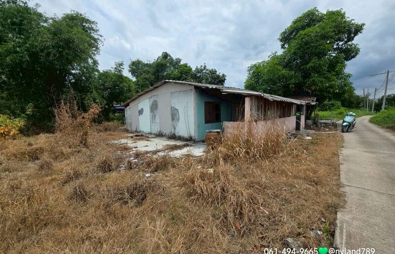 ขายบ้านสวน 150 ตรว. ต.บ้านนา อ.บ้านนา จ.นครนายก