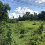 ขายที่ดิน 35ไร่ ติดถนน ใกล้มอเตอร์เวย์ เหมาะลงทุน กาญจนบุรี