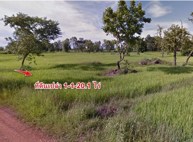 ขายที่ดินเปล่า ฮางโฮง สกลนคร 1-1-20.1 ไร่ 10 กิโลเมตร จากใจกลางเม