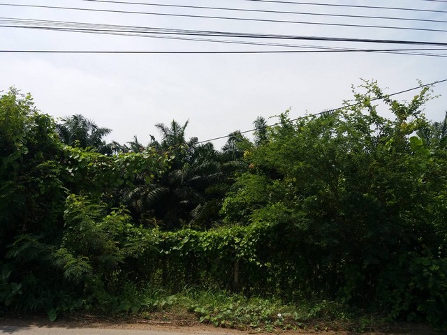 ขายที่ดิน ติดทางหลวงเทศบาล 18-3-6 ไร่ โพธาราม ราชบุรี
