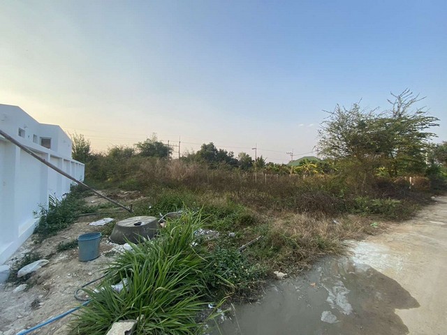 ขายที่ดิน104ว.890,000บ. สาธารณูปโภค ต.หนองแหย่ง สันทราย เชียงใหม่