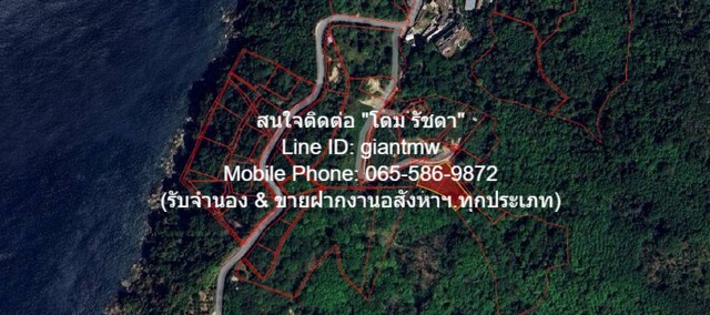 ขายที่ดินเปล่าบนภูเขา และวิวทะเล ต.กมลา อ.กะทู้ จ.ภูเก็ต 2 ไร่