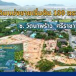 ขายที่ดิน ซ.วัดนาพร้าว ศรีราชา ชลบุรี 100 – 400 ตรว.ไฟฟ้าประปาครบ