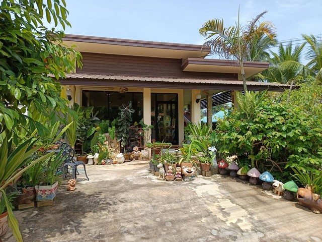 บ้านและที่ดิน พร้อมร้านกาแฟ