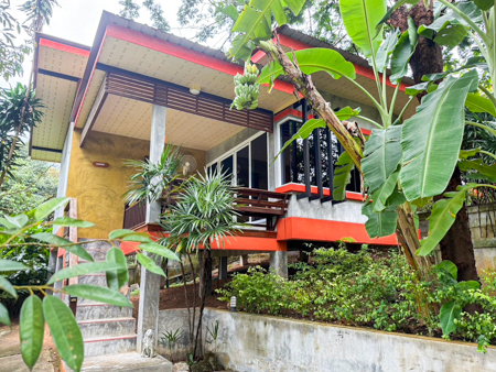 บ้านว่างให้เช่า 1 ห้องนอน หลังใหญ่พร้อมสระว่ายน้ำ ขนาดใหญ่