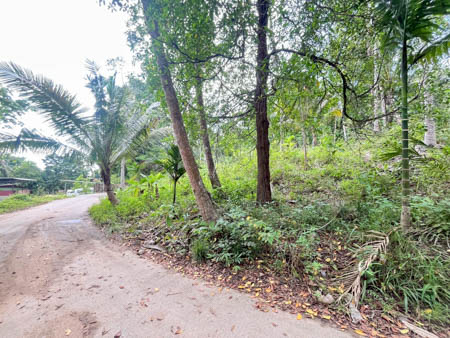 ที่ดินทำเลทองลิปะน้อย เกาะสมุย ราคาพิเศษ วาละ 10000