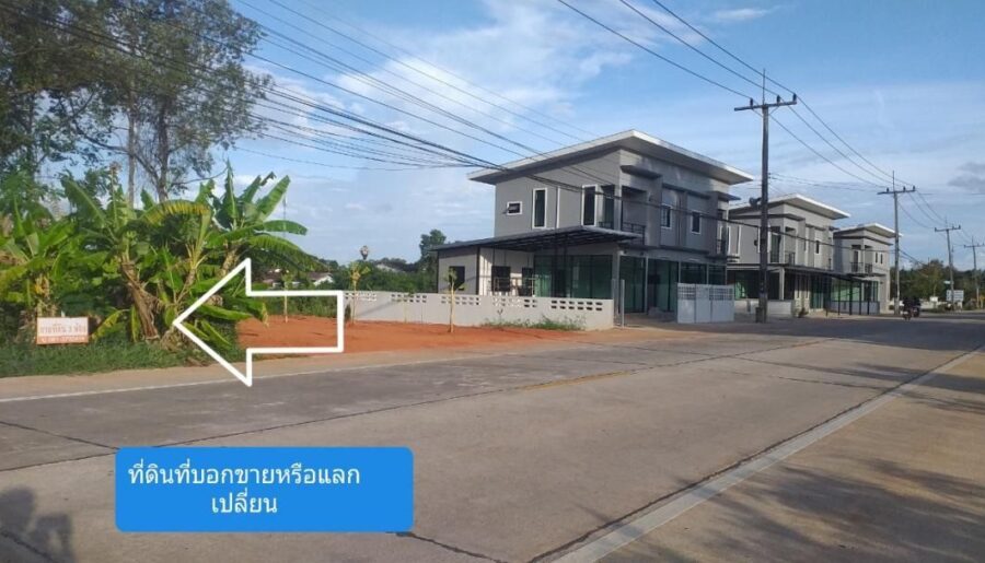 ขายให้เช่า หรือแลกเปลี่ยน ที่ดินเปล่า 3 ห้อง จังหวัดพัทลุง