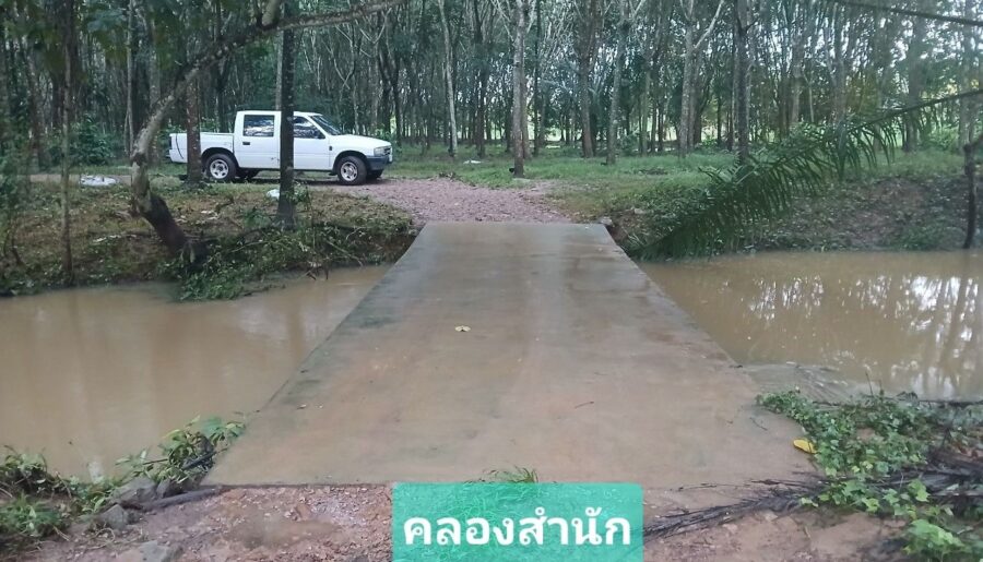 ขายสวนปาล์มน้ำมันและยางพารา ง อำเภอปะทิว จังหวัดชุมพร
