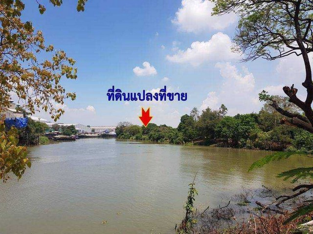 ที่ดินเปล่าติดแม่น้ำป่าสัก ต.ปากจั่น อ.นครหลวง จ.พระนครศรีอยุธยา
