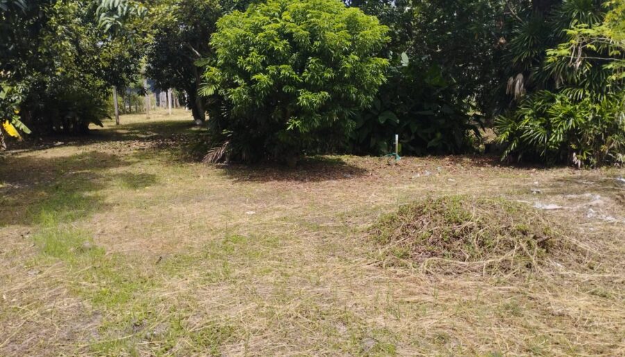 ที่ดินทำเลทอง ตำบลป่าไผ่ อำเภอสันทราย จังหวัดเชียงใหม่