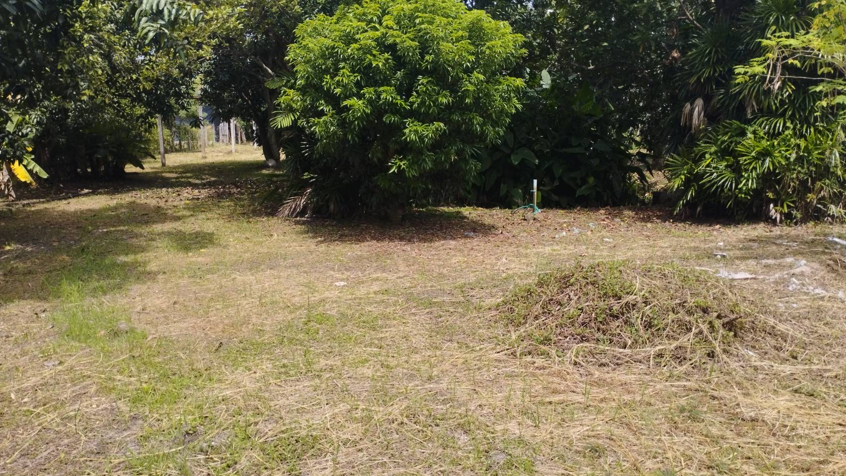 ที่ดินทำเลทอง ตำบลป่าไผ่ อำเภอสันทราย จังหวัดเชียงใหม่