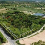 ที่ดินสีเหลือง บางละมุง พัทยา ชลบุรี 4 ไร่ เหมาะทำรีสอร์ท บ้านจัด