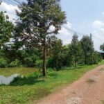 ขายที่ดินสวนทุเรียนจังหวัดแพร่-น้ำไม่เคยท่วม เหมาะเป็นพักอาศัย ทำ