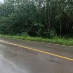 ขายสวนยางพารา ติดถนนใหญ่ 12ไร่ ต. วังโตนด อ.นายายอาม จ. จันทบุรี