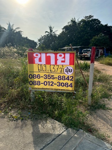ขายที่ดิน 60วา 2 แปลง ตะเคียนเตี้ย บางละมุง ชลบุรี