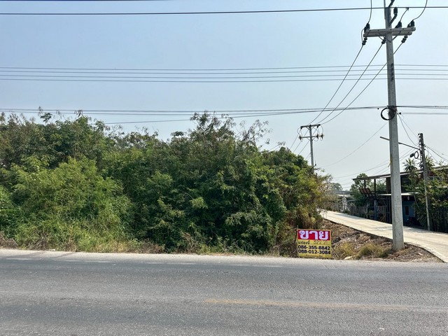 ขายที่ดิน 322 วา ติดถนนปทุมธานี3034 คลอง13 ฝั่งตะวันออก หนองเ