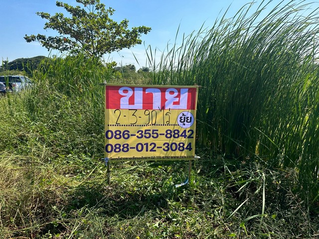 ขายที่ดิน 2-3-90 ไร่ ซ.ร่มเกล้า 25/2 ลาดกระบัง กรุงเทพ