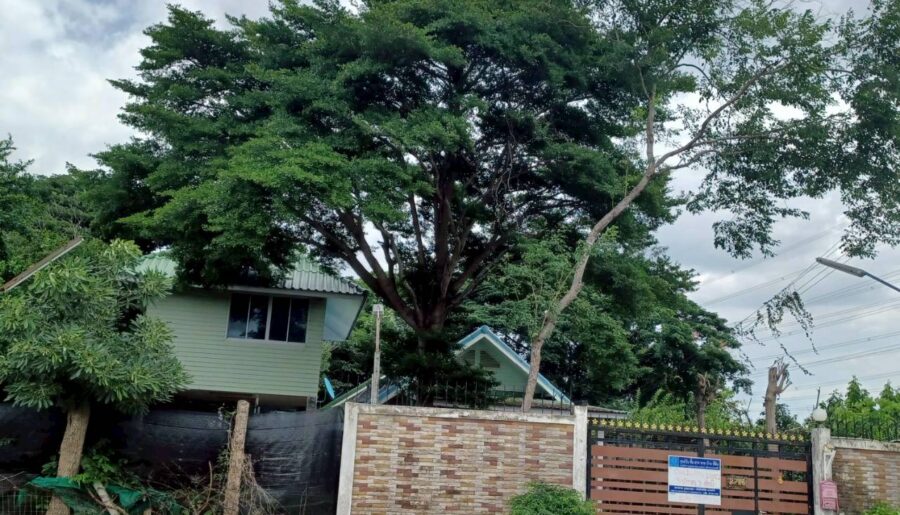 PZ1154 ขายที่ดิน พร้อมบ้าน เนื้อที่ 200 ตรว. ลำลูกกา จังหวัดปทุ