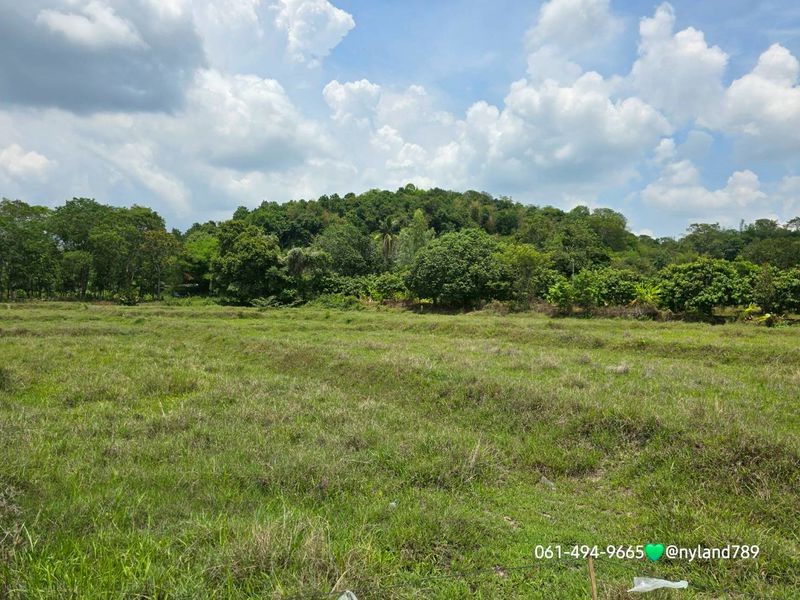 ขายที่ดินเชิงเขา รูปที่สวยทุกแปลง ต.ศรีนาวา อ.เมืองนครนายก