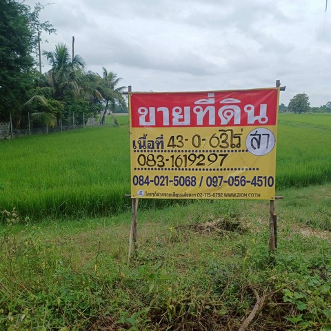 ขายที่นาราคาถูก 43-0-65 ไร่ ใกล้ อบต.บ้านกร่าง เมืองพิษณุโลก