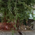 ขายที่ดินเปล่า 42 ตรว ถมแล้ว ซอยลาดพร้าว 34 เข้าจากถนนลาดพร้าว 60