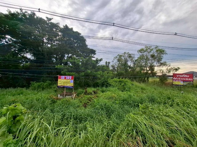 ขายที่ดินสวยติดถนน 3-3-55 ไร่ ใกล้สนามบินนานาชาติอุดรธานี