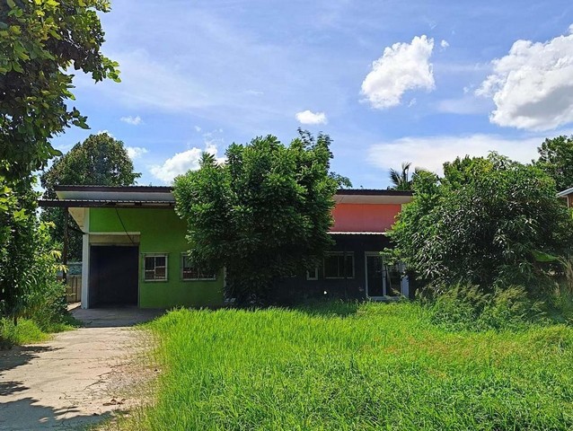 ขาย บ้านเดี่ยว ชั้นเดียว ในเมือง บ้านไผ่ ขอนแก่น