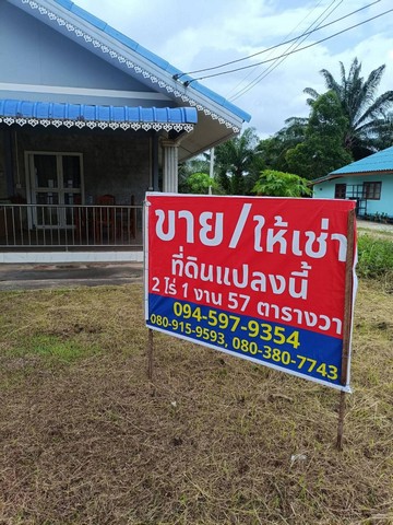 ขายบ้านพร้อมที่ดิน อำเภอเมือง จังหวัดชุมพร 2 ไร่ 1 งาน 57 ตารางว
