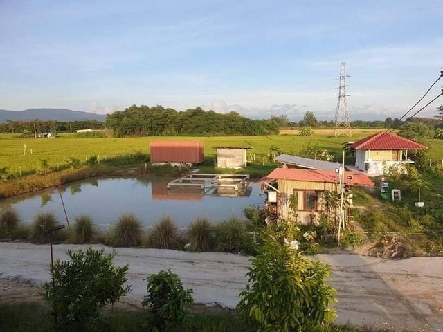 บ้านสวนพร้อมบ่อปลา บรรยากาศร่มรื่น เหมาหมดทั้งบ้าน โซนแม่ริม