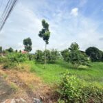 ที่ดินเปล่า 266 ตร.วา ท่าอิฐ 15 แยกตาลเดียว – วัดบางบัวทอง นนทบุร