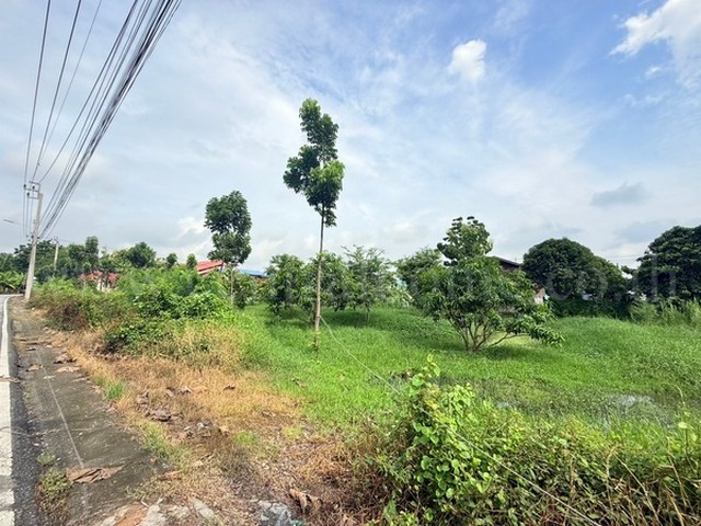 ที่ดินเปล่า 266 ตร.วา ท่าอิฐ 15 แยกตาลเดียว – วัดบางบัวทอง นนทบุร