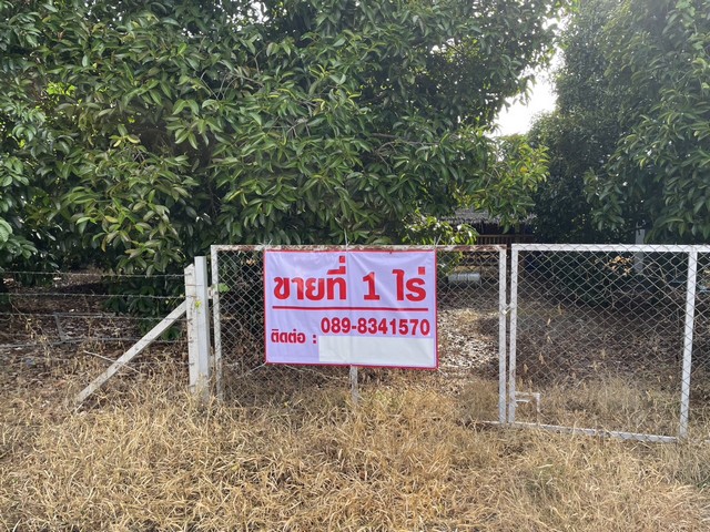 ขายที่สวนผลไม้ พื้นที่ 1 ไร่ ต.กระเฉด ภายในสวนมีผลไม้