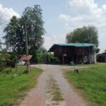 ขายที่ดินสวนทุเรียนจังหวัดแพร่-แหล่งน้ำการเกษตร มีสระ, มีน้ำจากคล